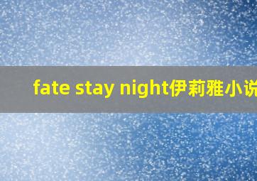 fate stay night伊莉雅小说